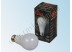 Светодиодная лампа E27 10Вт 200-240В bulb